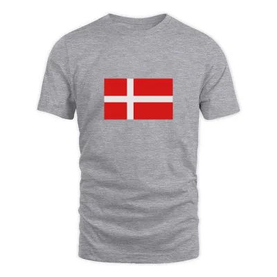 Men's Grey Denmark T-Shirt